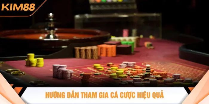 Hướng dẫn tham gia cá cược hiệu quả